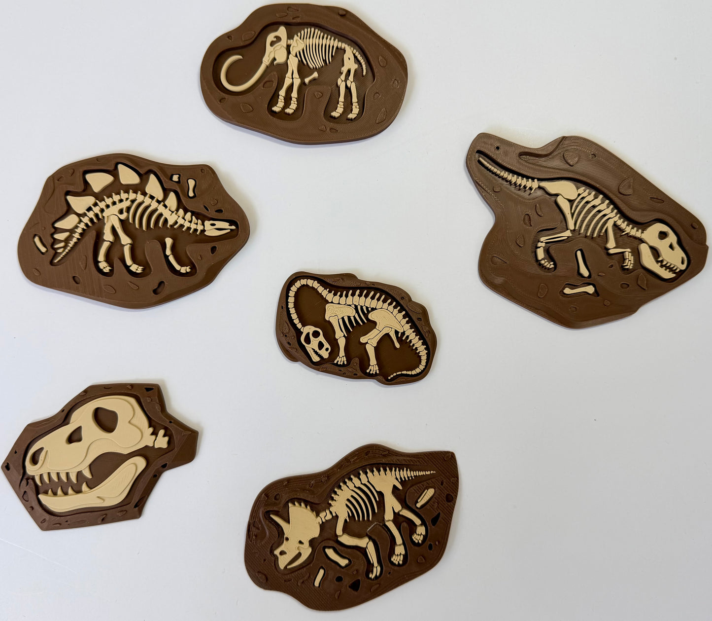 Buried Treasures Fossil Plate Set