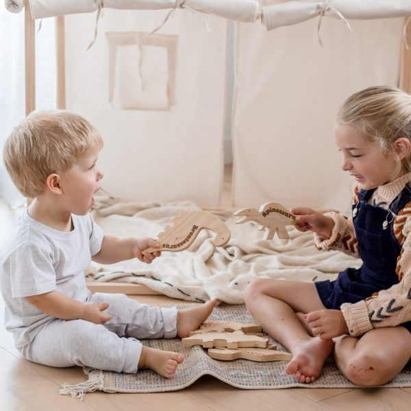 Dino Play Set