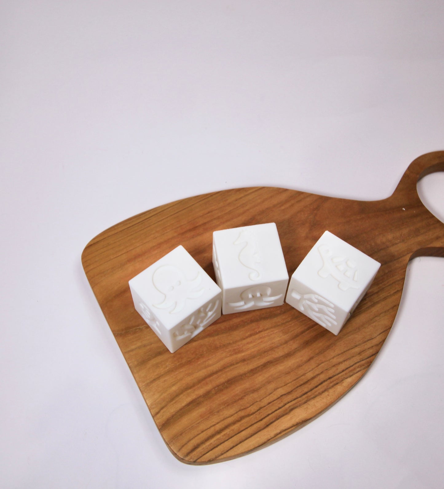 Ocean Creature Stamp Cube