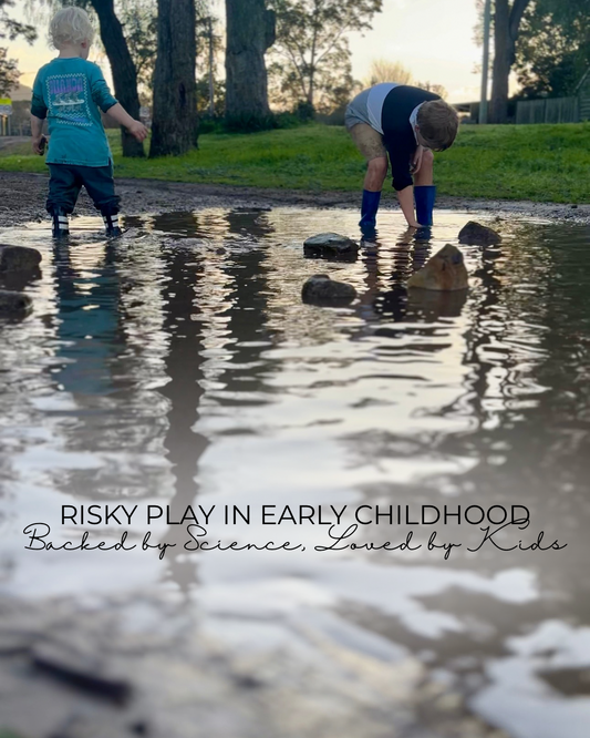 The Importance of Risky Play in Early Childhood Development. An Expert Guide for Parents and Educators.