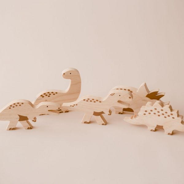 Dino Play Set