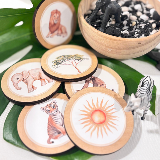 Whimsical Jungle Story Discs (6 Pack)