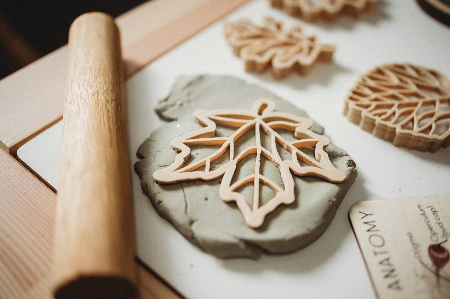 Pre-Order: Leaf Eco Cutter™ Set
