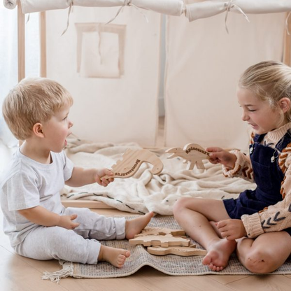 Dino Play Set