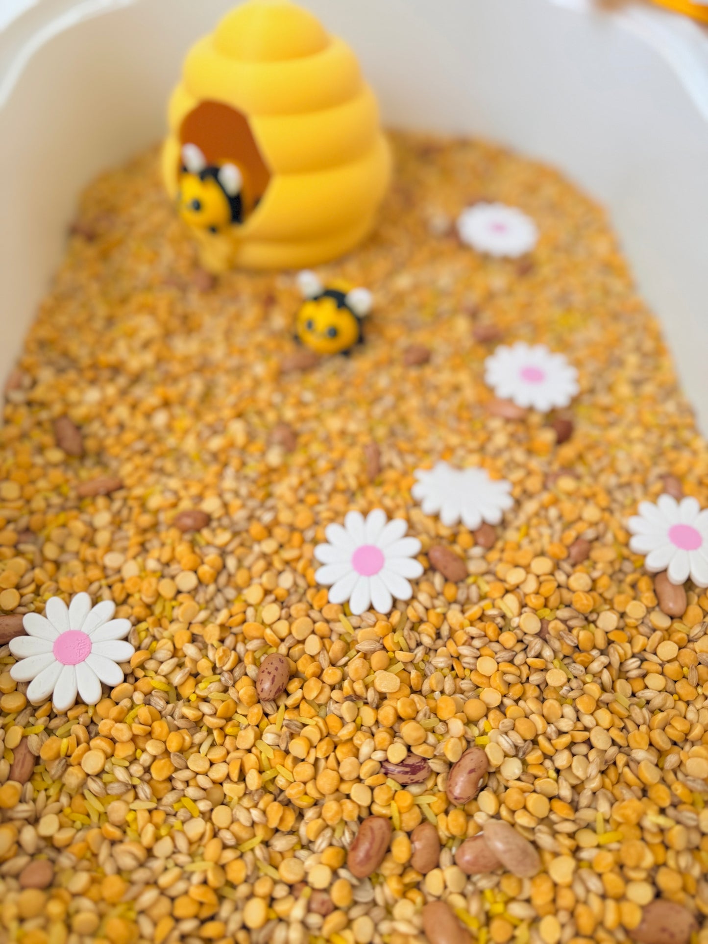 Busy Bee Hive Play Set