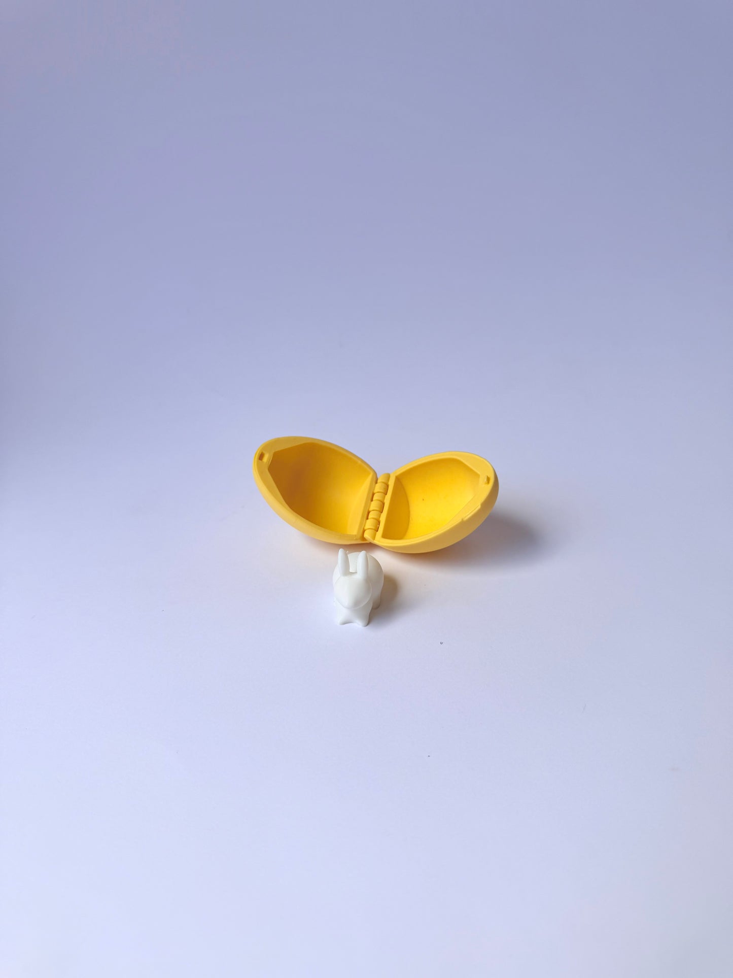 Bunny Surprise Egg (Hollow Egg + Mini Bunny)