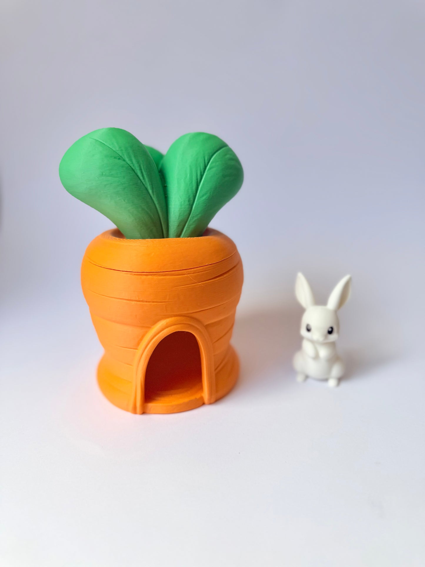Bunny Burrow Carrot House