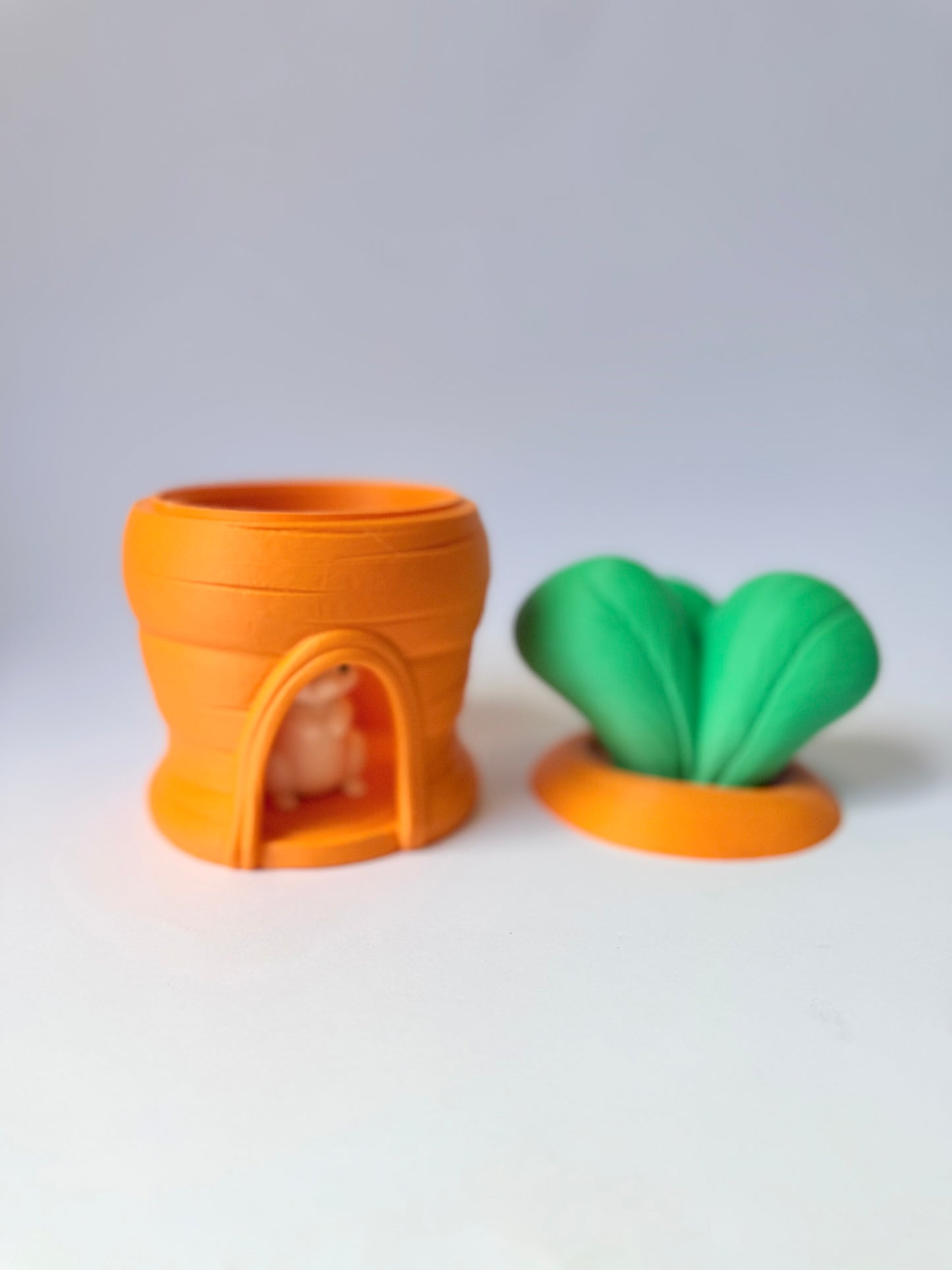 Bunny Burrow Carrot House
