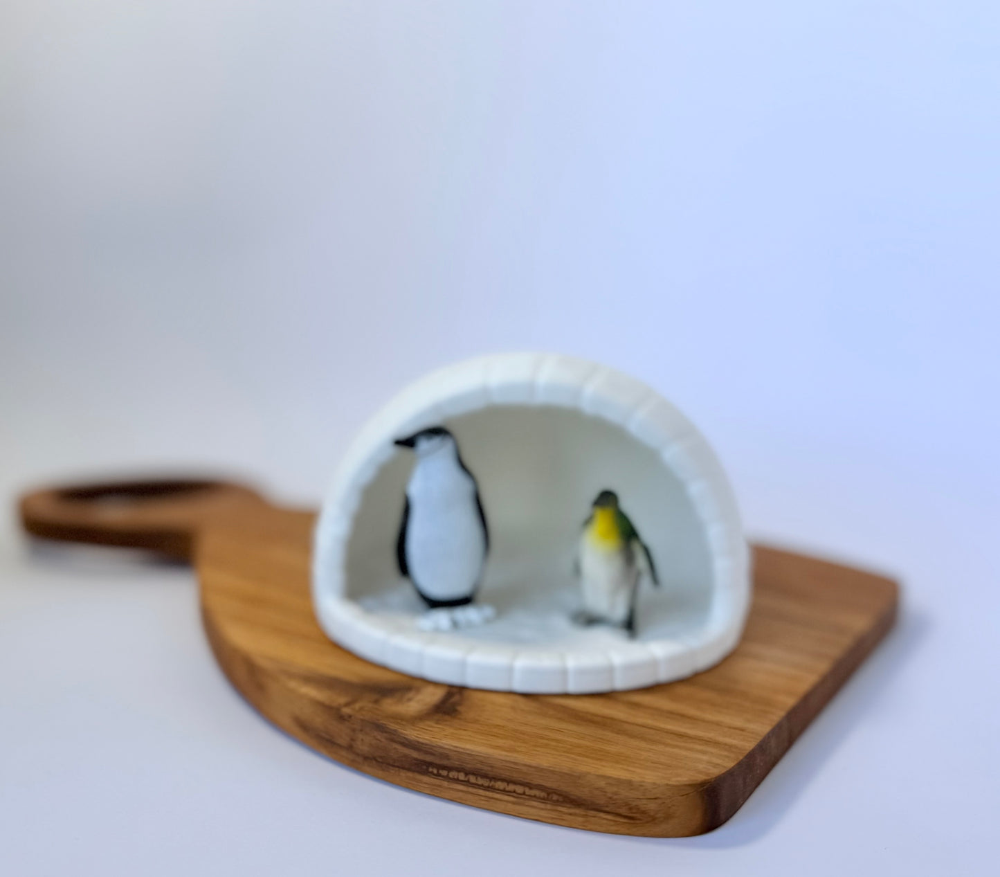 Penguin Ice Cave