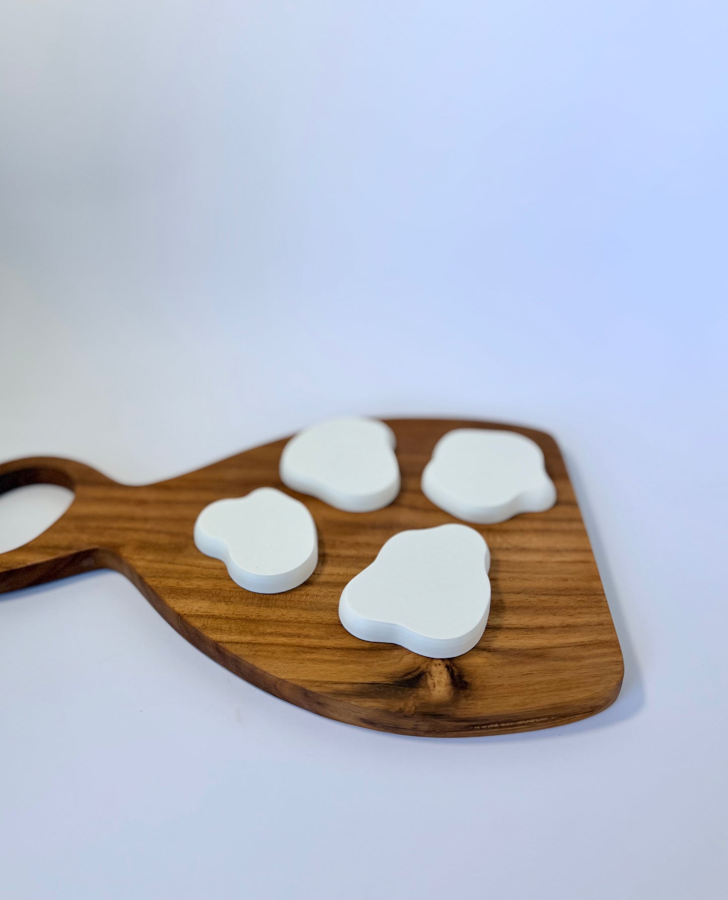Snowy Ice Floes