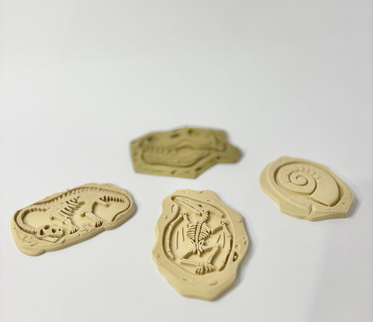 Buried Treasures Fossil Plates