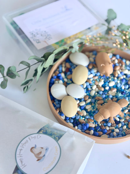 Little Bushland Stories Sensory Bundle