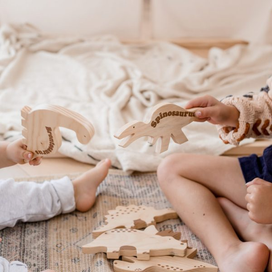 Dino Play Set